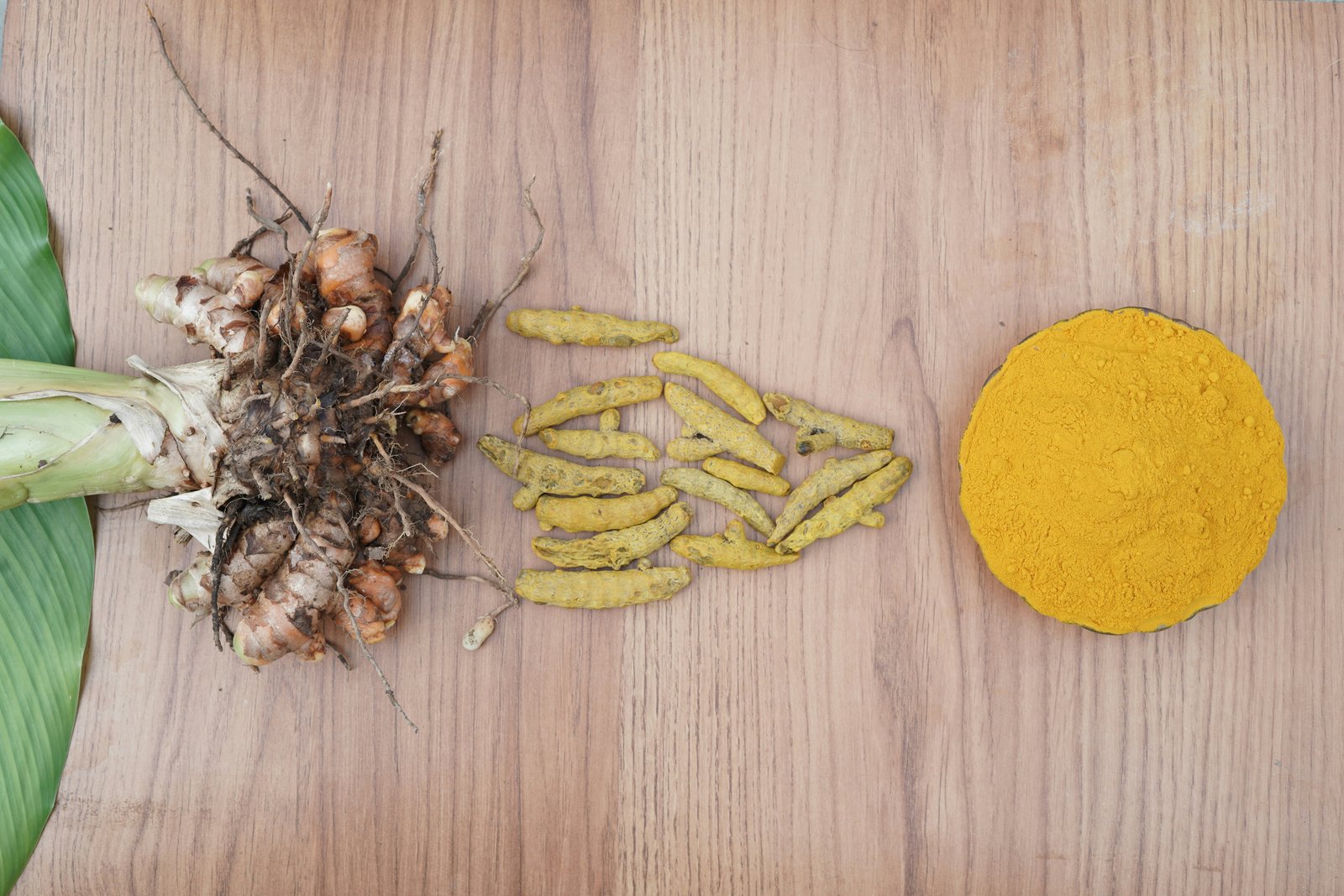 Turmeric root and powder on wooden surface